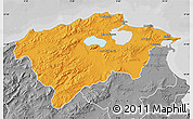 Political Map of Bizerte, desaturated