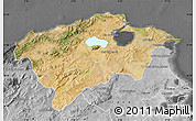 Satellite Map of Bizerte, desaturated