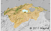 Satellite Map of Bizerte, lighten, desaturated