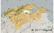 Satellite Map of Bizerte, lighten, semi-desaturated
