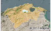 Satellite Map of Bizerte, semi-desaturated