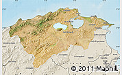 Satellite Map of Bizerte, shaded relief outside