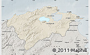 Shaded Relief Map of Bizerte, semi-desaturated