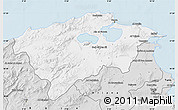 Silver Style Map of Bizerte