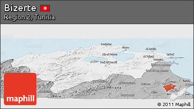 Gray Panoramic Map of Bizerte
