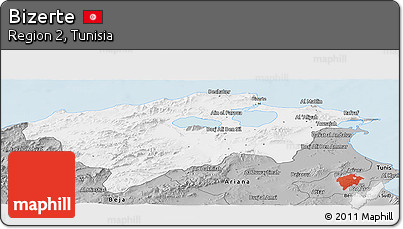 Gray Panoramic Map of Bizerte