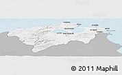 Gray Panoramic Map of Bizerte, single color outside