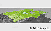 Physical Panoramic Map of Bizerte, darken, desaturated