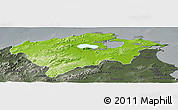 Physical Panoramic Map of Bizerte, darken, semi-desaturated