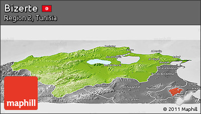 Physical Panoramic Map of Bizerte, desaturated