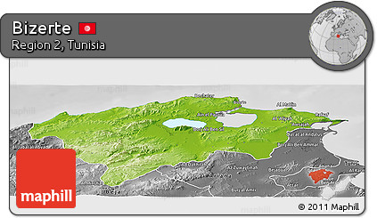 Physical Panoramic Map of Bizerte, desaturated