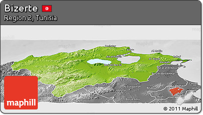 Physical Panoramic Map of Bizerte, desaturated