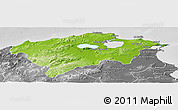 Physical Panoramic Map of Bizerte, desaturated