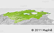 Physical Panoramic Map of Bizerte, lighten, desaturated