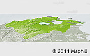 Physical Panoramic Map of Bizerte, lighten, semi-desaturated