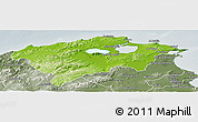 Physical Panoramic Map of Bizerte, semi-desaturated
