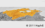 Political Panoramic Map of Bizerte, desaturated