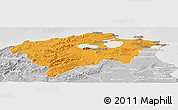 Political Panoramic Map of Bizerte, lighten, desaturated