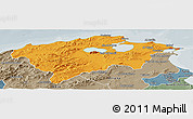 Political Panoramic Map of Bizerte, semi-desaturated
