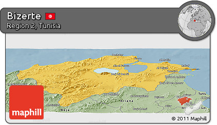 Savanna Style Panoramic Map of Bizerte
