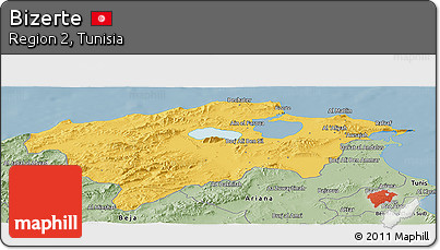 Savanna Style Panoramic Map of Bizerte