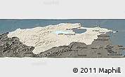 Shaded Relief Panoramic Map of Bizerte, darken