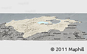 Shaded Relief Panoramic Map of Bizerte, darken, semi-desaturated