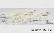 Shaded Relief Panoramic Map of Bizerte, desaturated