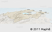Shaded Relief Panoramic Map of Bizerte, lighten