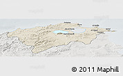 Shaded Relief Panoramic Map of Bizerte, lighten, semi-desaturated