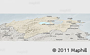 Shaded Relief Panoramic Map of Bizerte, semi-desaturated