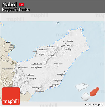 Classic Style 3D Map of Nabul