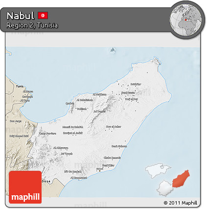 Classic Style 3D Map of Nabul
