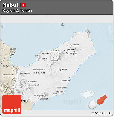 Classic Style 3D Map of Nabul