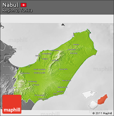 Physical 3D Map of Nabul, desaturated