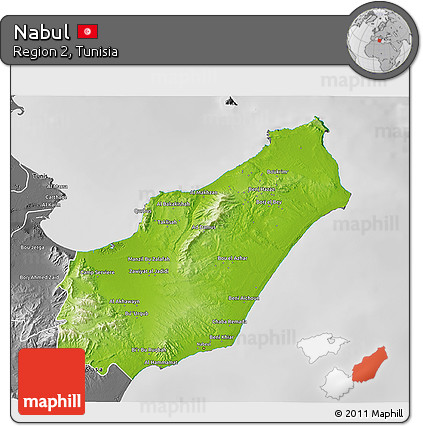 Physical 3D Map of Nabul, desaturated