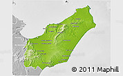 Physical 3D Map of Nabul, lighten, desaturated