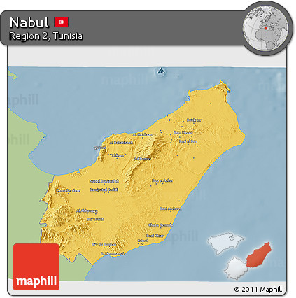 Savanna Style 3D Map of Nabul, single color outside