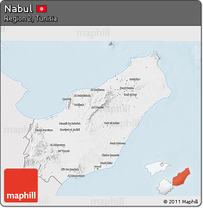 Silver Style 3D Map of Nabul, single color outside