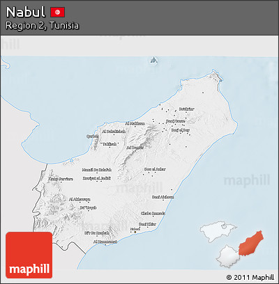 Silver Style 3D Map of Nabul, single color outside