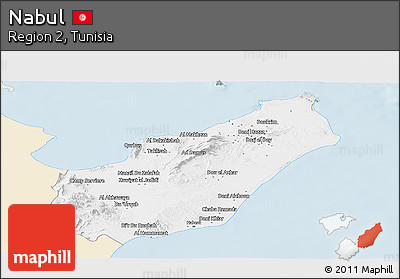 Classic Style Panoramic Map of Nabul, single color outside