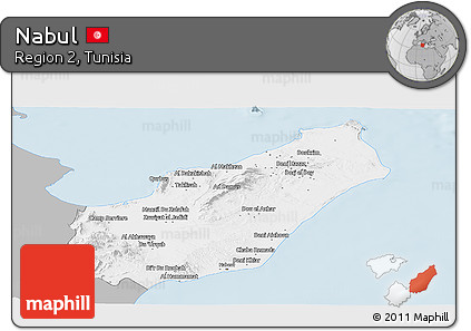 Gray Panoramic Map of Nabul, single color outside