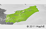 Physical Panoramic Map of Nabul, desaturated