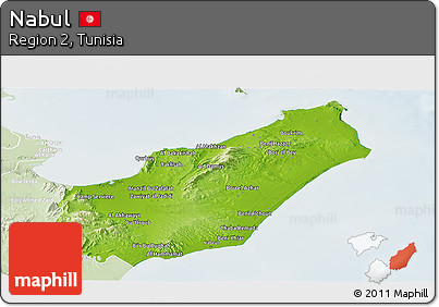 Physical Panoramic Map of Nabul, lighten