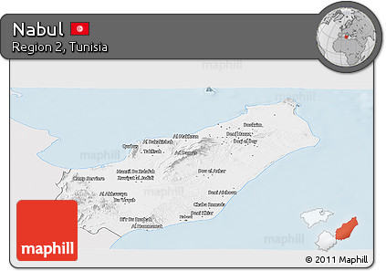 Silver Style Panoramic Map of Nabul, single color outside