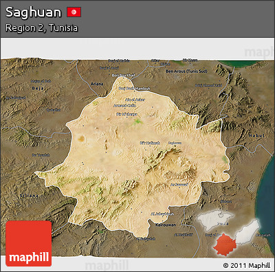 Satellite 3D Map of Saghuan, darken