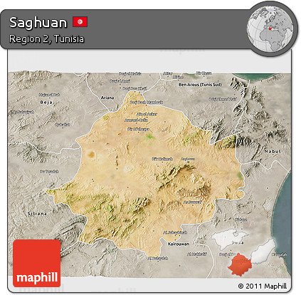 Satellite 3D Map of Saghuan, semi-desaturated