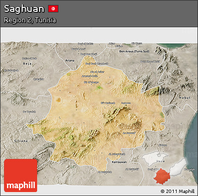 Satellite 3D Map of Saghuan, semi-desaturated