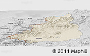 Shaded Relief Panoramic Map of Dschunduba, desaturated
