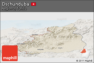 Shaded Relief Panoramic Map of Dschunduba, lighten